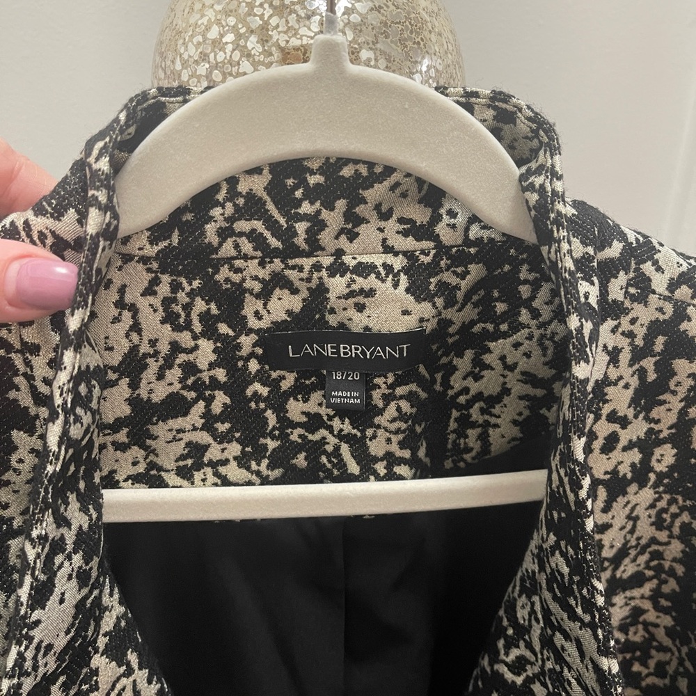 Lane Bryant - Picture 4 of 5